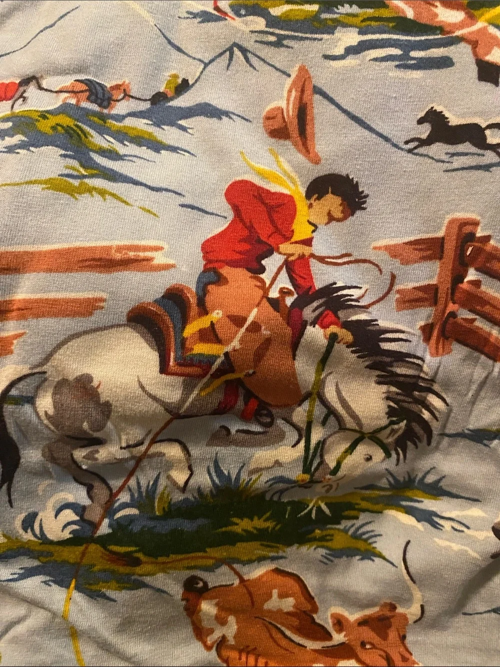 Nick & Nora - Vintage 90’ Full “FLAT” sheet Only Western themed